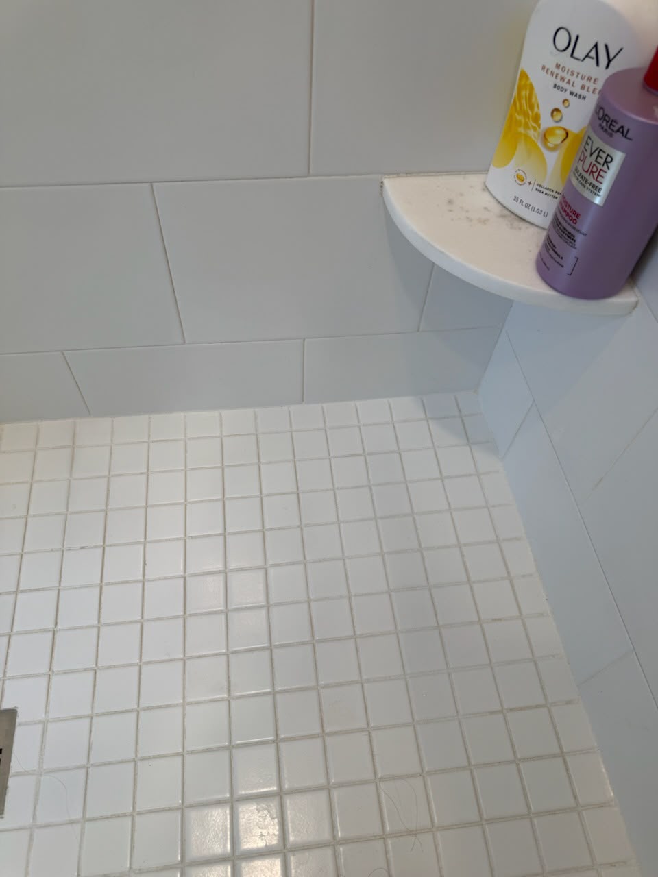 Clean walk-in shower tile and corner shelf